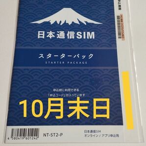日本通信SIM スターターパック NT-ST2-P
