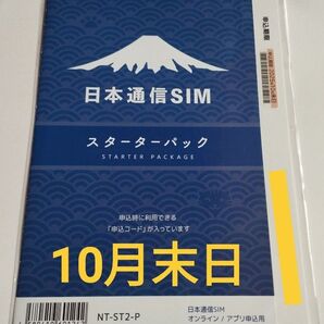 日本通信SIM スターターパック NT-ST2-P