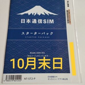 日本通信SIM スターターパック NT-ST2-P