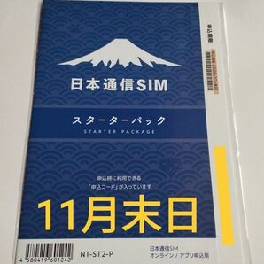 日本通信SIM スターターパック NT-ST2-P