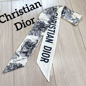 Christian Dior クリスチャンディオール Dior ツイリー リボンスカーフ スカーフ 動物柄