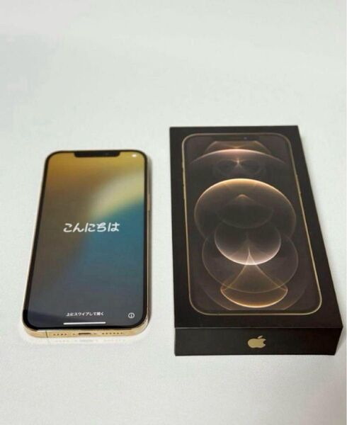 【美品】Apple iPhone 12 Pro 本体 256gb ケース付き