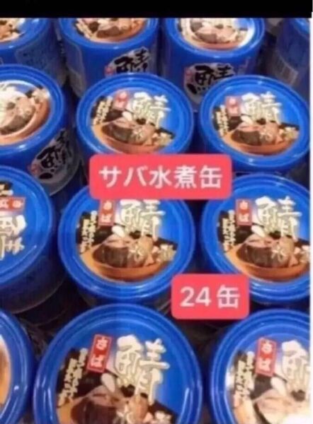 缶詰 鯖缶 サバ缶 サバ水煮缶 24缶 【賞味期限、3027.10. 2027.11】