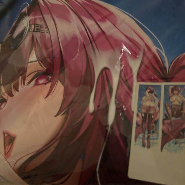 崩壊 スターレイル カフカ 2/160cm×50cm/抱き枕カバー