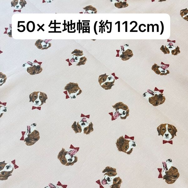 生地 綿100% 布 はぎれ 50×112cm まとめ買い 薄ピンク 犬柄 手芸 ハンドメイド 生地 国産
