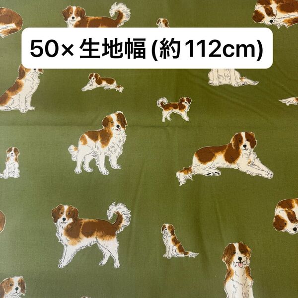生地 綿100% 布 はぎれ 50×112cm まとめ買い 犬柄 グリーン 手芸 ハンドメイド 生地 国産