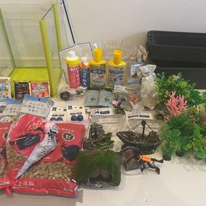石川県☆手渡し限定☆ メダカ、金魚飼育セット