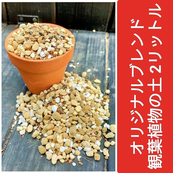 観葉植物の土 オリジナルブレンド2リットル 匿名配送