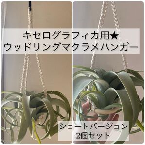 キセログラフィカ用★ウッドリングマクラメハンガー★ショートバージョン
