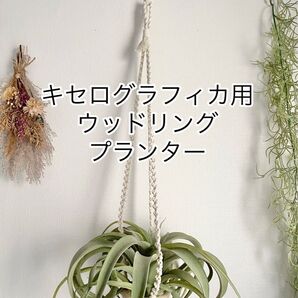 キセログラフィカ用★ウッドリングマクラメハンガー