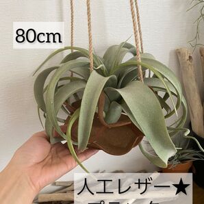 人工レザー★ジュードロープのプランター