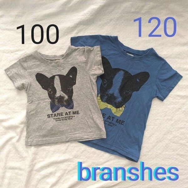 ブランシェス 100 120cm 2点セット まとめ売り 子供服 キッズ 半袖 リンクコーデ お揃い branshes 犬