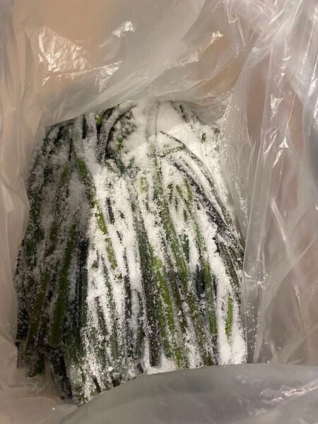わらびの塩漬け 500g