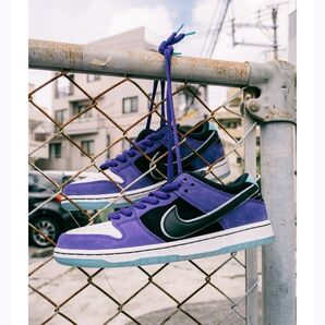 Hayley Wilson × Nike SB Dunk Low Pro "Black and Court Purple 28cm