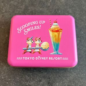 未開封 ディズニー disney サニーサニーサマー チップ デール キャンディ お菓子 缶 小物入れ 小物ケース