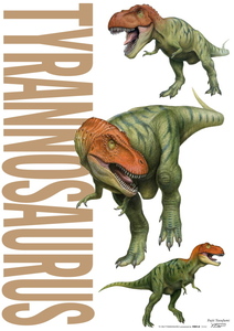 ■『TYRANNOSAURUS/藤井康文』のポスター■