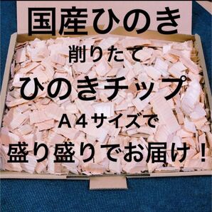 日本製 感謝価格!! 削りたて ひのき 芳香チップ ヒノキチップ天然素材