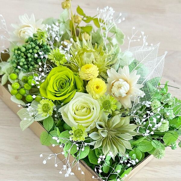 花材セット グリーンミックス プリザーブドフラワー 花材セット 花材詰め合わせ ハーバリウム花材