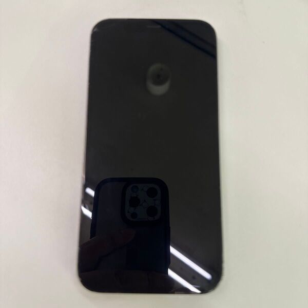 iPhone12pro 256G