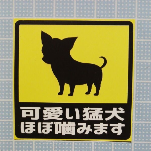 チワワ 中size 犬ステッカー