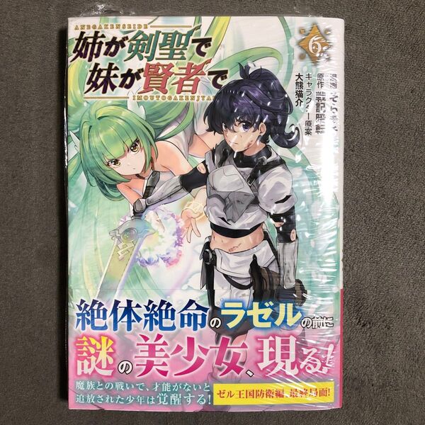 姉が剣聖で妹が賢者で 6巻 新品