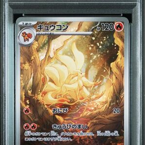 キュウコン ar psa10