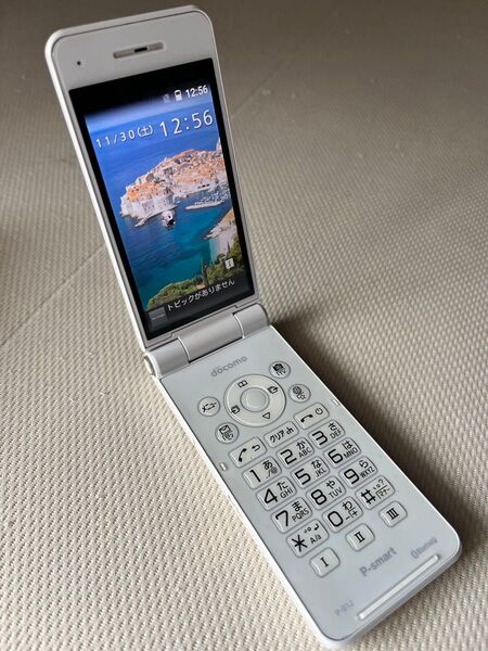 美品 ドコモ P-01J ホワイト Xiフューチャーホン SIMロック解除済み 本体・電池・リアカバーのみ