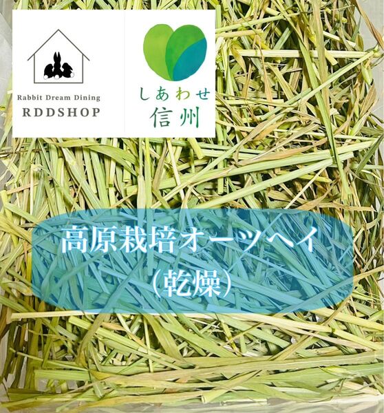 高原栽培オーツヘイ/乾燥牧草/草食動物/うさぎ/モルモット/デグー/チンチラ