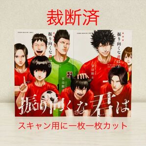 【裁断済み・スキャン用】安田剛士 振り向くな君は 新装版 上下巻(完結全巻)