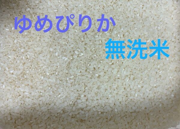 令和6年産 北海道産 ゆめぴりか