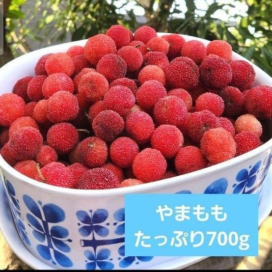 ☆無農薬◎紅い宝石「やまもも」700g ヤマモモ 宅急便コンパクト☆
