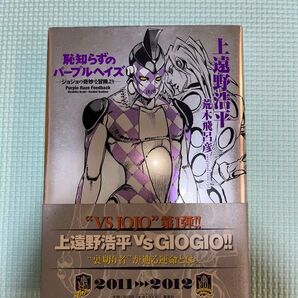 小説 ジョジョの奇妙な冒険 恥知らずのパープルへイズ ハードカバー版