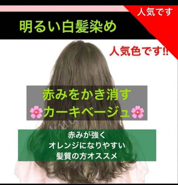 スロウ 白髪染め ヘアカラー 【プリミエンス イルミナカラー トリートメント など!同梱割有おまとめはコメントくださいませ】