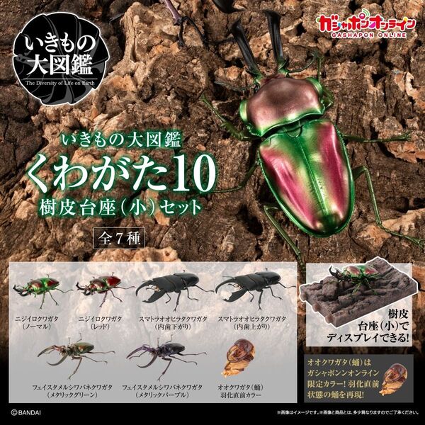 いきもの大図鑑 くわがた10 止まり木台座(小)セット 全7種 フルコンプセット オンライン