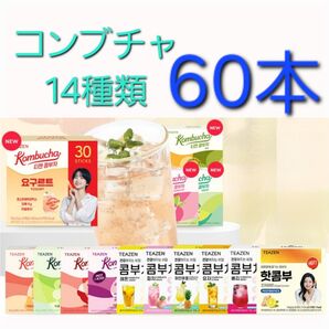 TEAZEN ティーゼン コンブチャ他 14種類 選択可能 各5g ×60