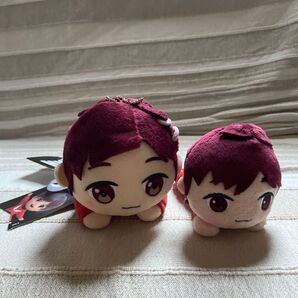 TinyTAN エクストラ 寝そべりぬいぐるみ j-hope