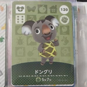 120 ドングリ amiiboカード
