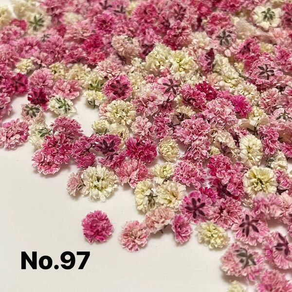 No.97かすみ草ドライフラワーMIX