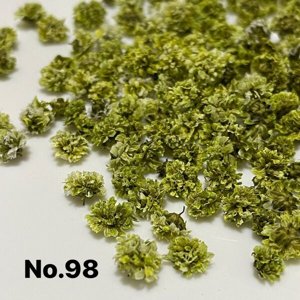 No.98かすみ草ドライフラワーモスグリーン