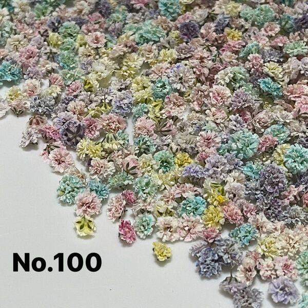 No.100かすみ草ドライフラワーパステル