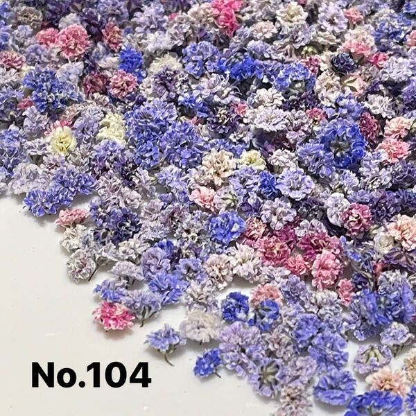 No.104かすみ草ドライフラワーパープルMIX