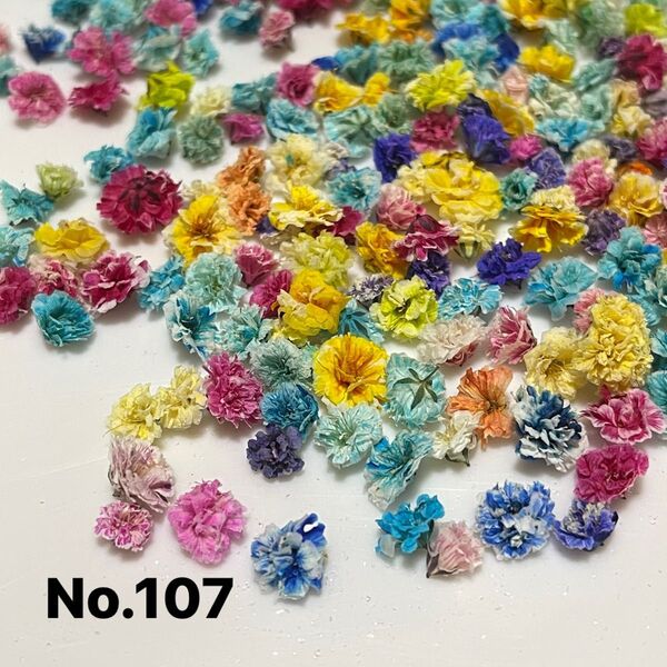 No.107かすみ草ドライフラワーMIX