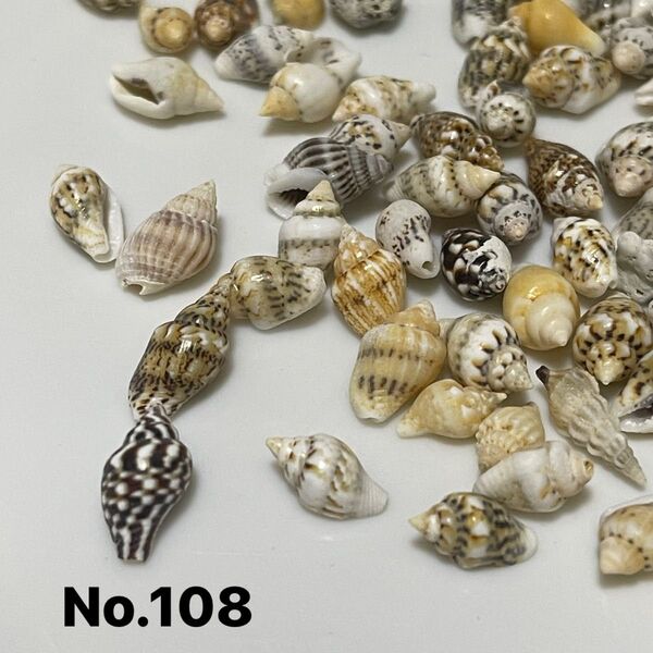 No.108 小さな貝殻 巻貝 レンジアクセサリーやハーバリウムなど
