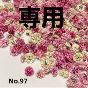 amo様専用No.97No.107かすみ草ドライフラワー