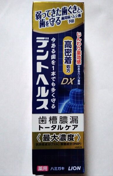 新品未開封品 ライオン デントヘルス 薬用歯磨き 85g 歯槽膿漏トータルケア 1本 箱入り デントヘルスDX 2025年6月購入