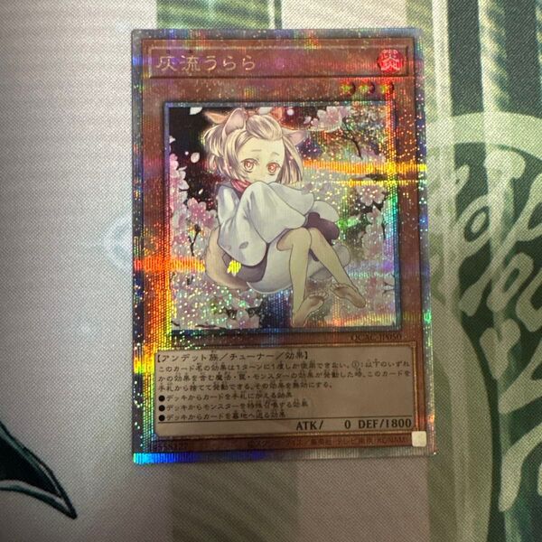 遊戯王 灰流うらら 絵違い 25thシークレット QCAC-JP050