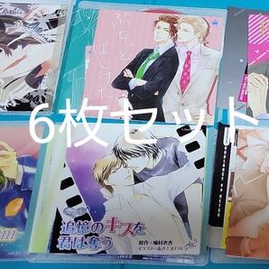 BLCD 6枚セット