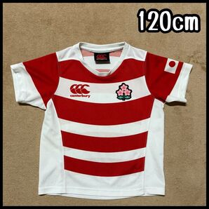 ラグビー 日本代表 120cm キッズ ジュニア ワールドカップ