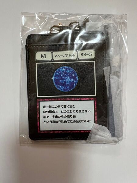 HUNTER×HUNTER ハンターハンター パスケース Hiatus× Hiatus pass holder ブループラネット