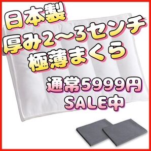 日本製 厚み2~3センチ 新品未使用 低め 極低 極薄 高級枕 抗菌 防臭 洗濯機対応 カバー2枚付き